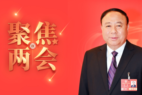 全國人大代表李寅2025年建議之四--盡快解決農林生物質發(fā)電可再生能源電價附加補助拖欠問題，化解行業(yè)經(jīng)營風險的建議
